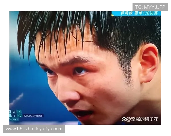 樊振东再度登顶，展现绝对统治力，樊振东历程